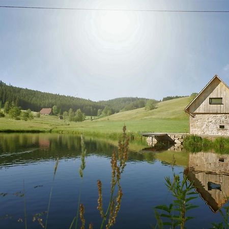 Ferienhaus Im Schwarzwald Am See "Backhaeusle" Villa Hornberg Exterior photo